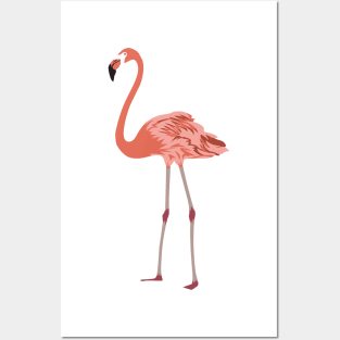 Flamingo Posters and Art